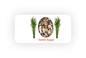 Cropmint lite, coffee working model, awards, Odisha Gujarat map data Brochure PPT, assets, clients (17)